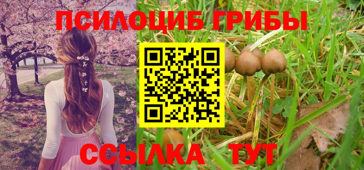 Галлюциногенные грибы Psilocybe  Вход с VPN  Учалы  купить закладку  Псилоцибиновые грибы ЛСД 
